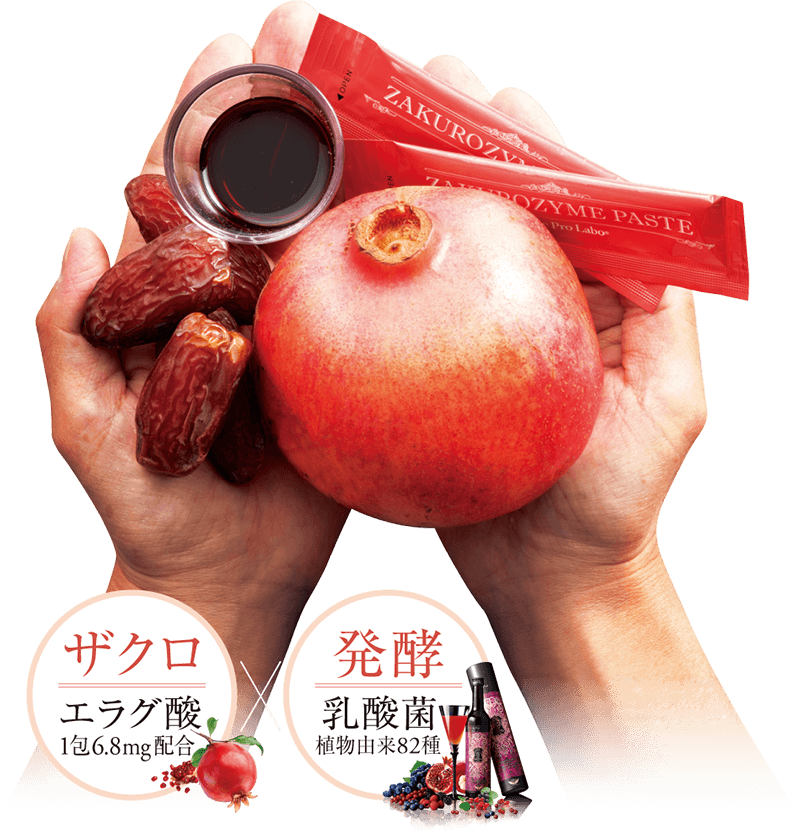 Esthe Pro Labo ZAKURO ZYME PASTE - myernk