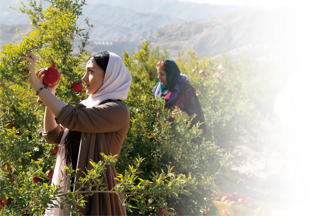 Esthe Pro Labo ZAKURO ZYME PASTE - myernk