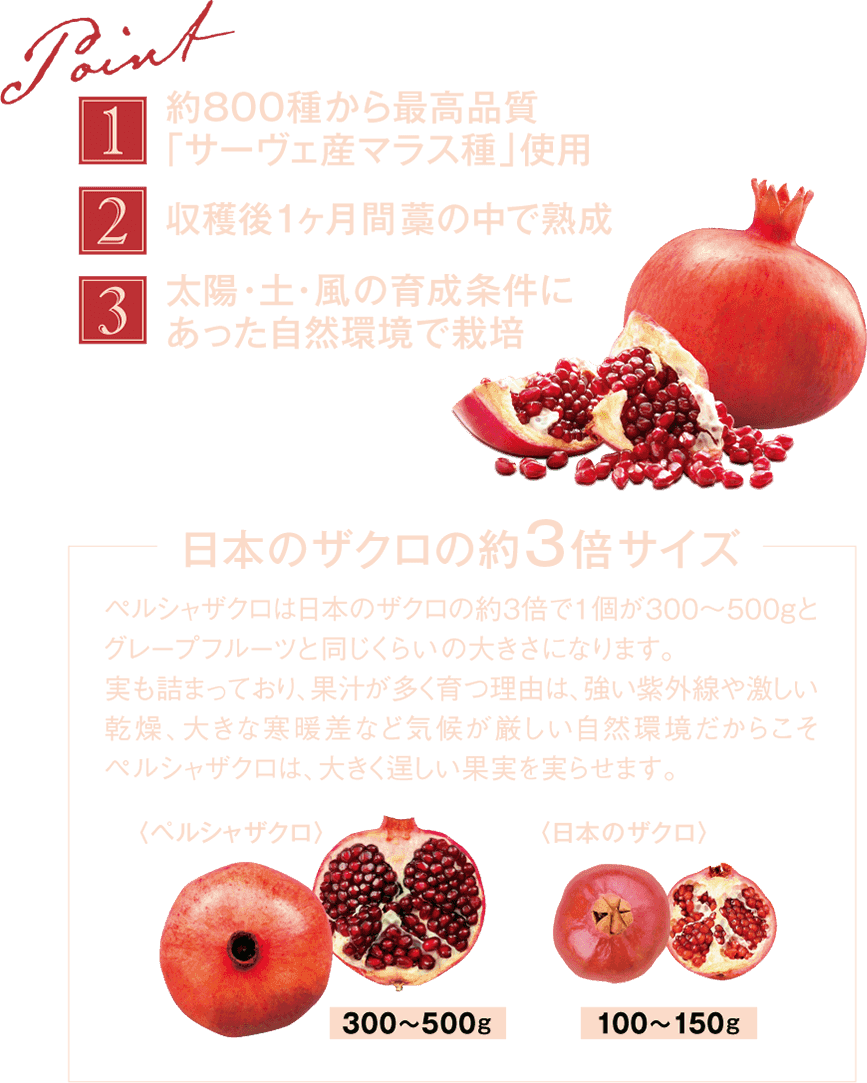 Esthe Pro Labo ZAKURO ZYME PASTE - myernk