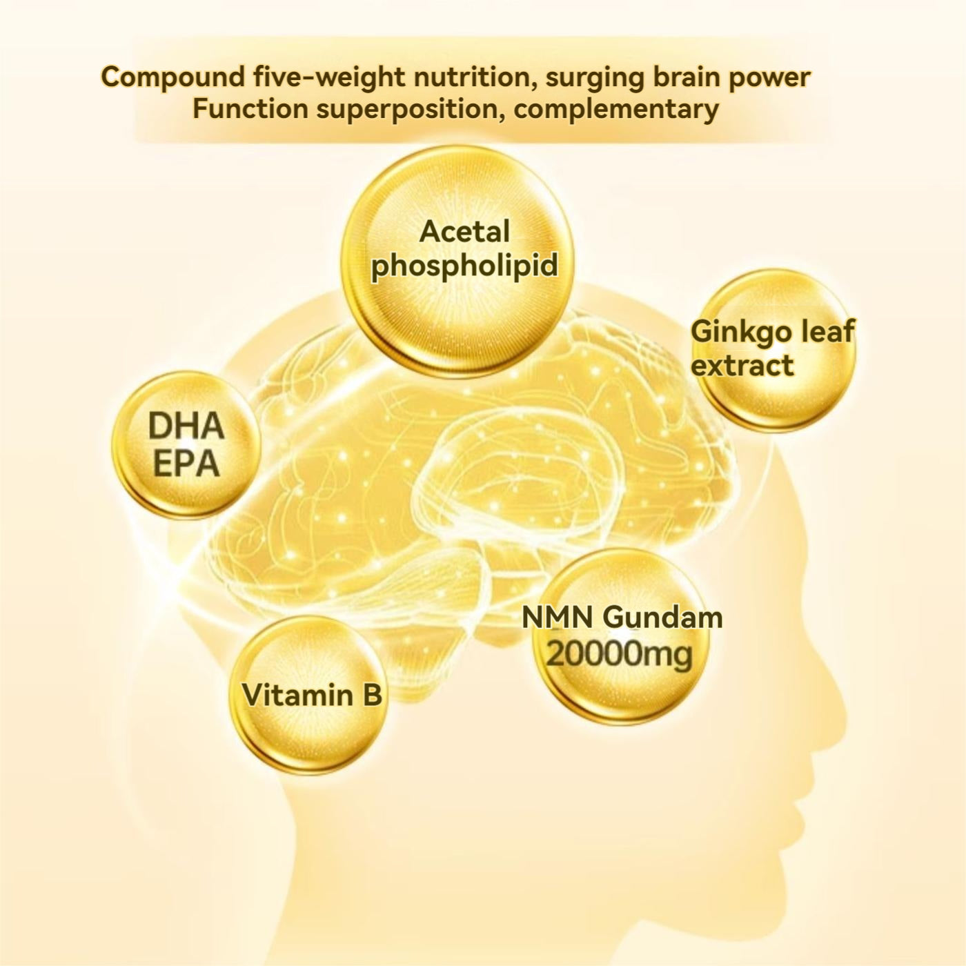 MEIJISEIYAKU NMN20000Plus Capsules